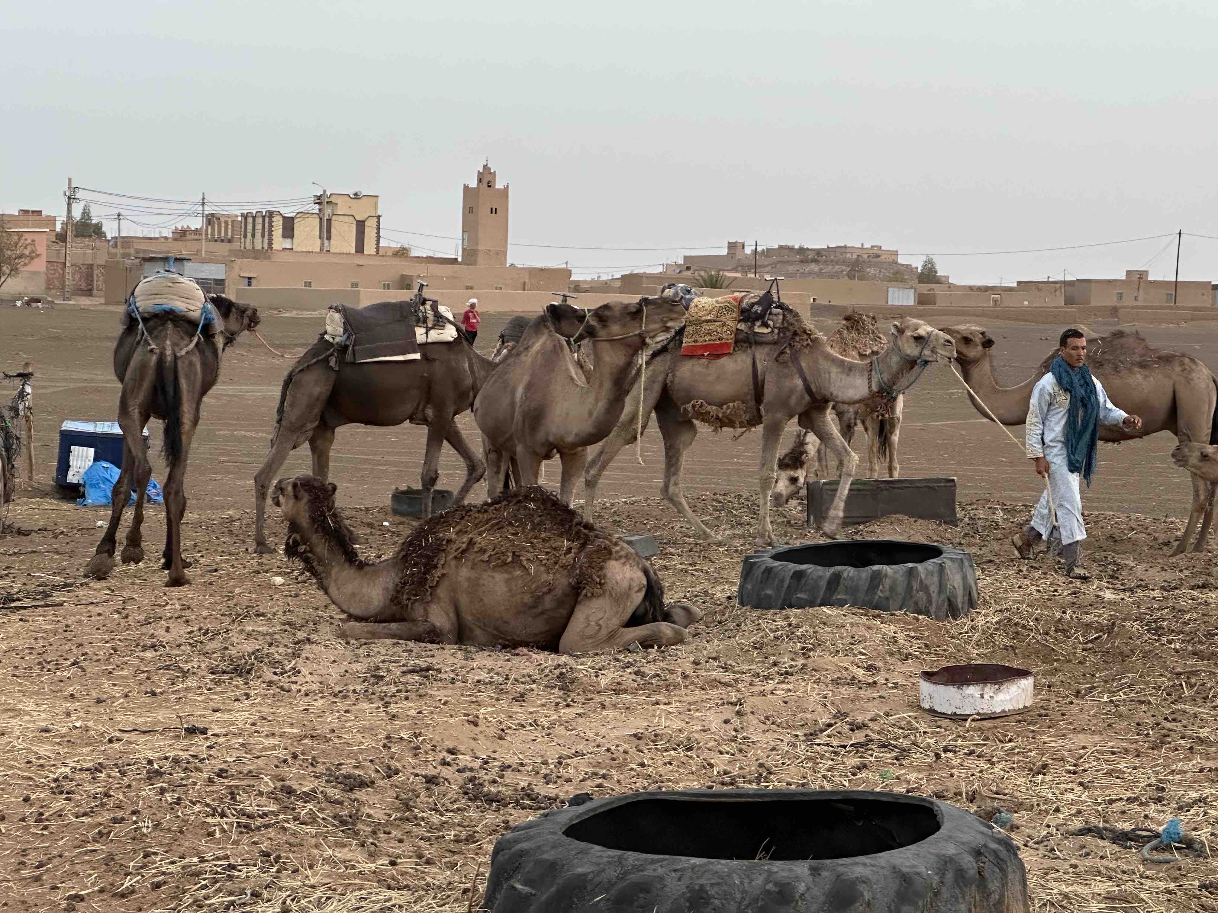 marocco